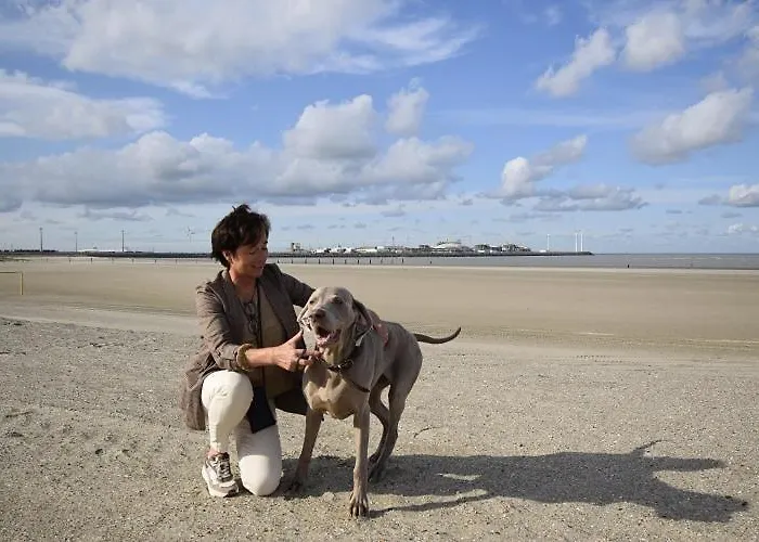 Hotel Ter Duinen - La Guera 3*